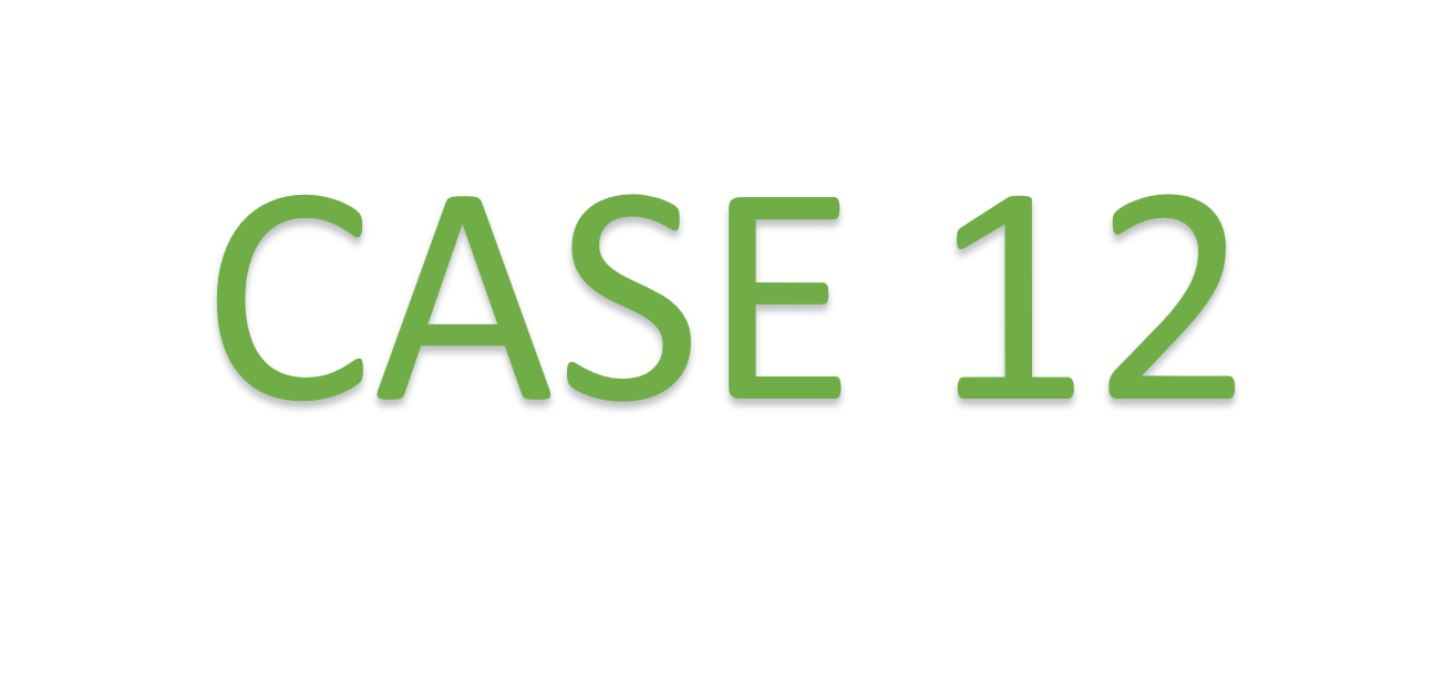 12 – The Spremberg paper mill in Germany: attracting new partners in the region to overcome the lack of suitable facilities