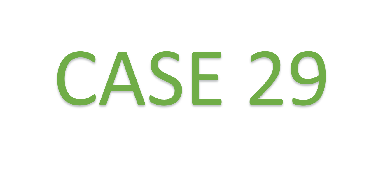 29 – Implementing Industrial Symbiosis to scale up solar photovoltaic cells manufacturing in the United States